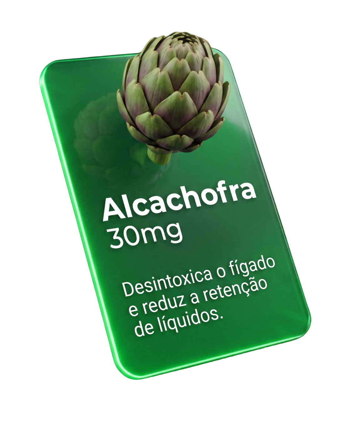 Alcachofra